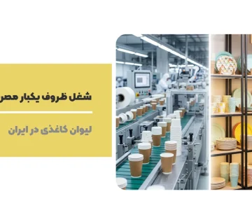 شغل ظروف یکبار مصرف چیست